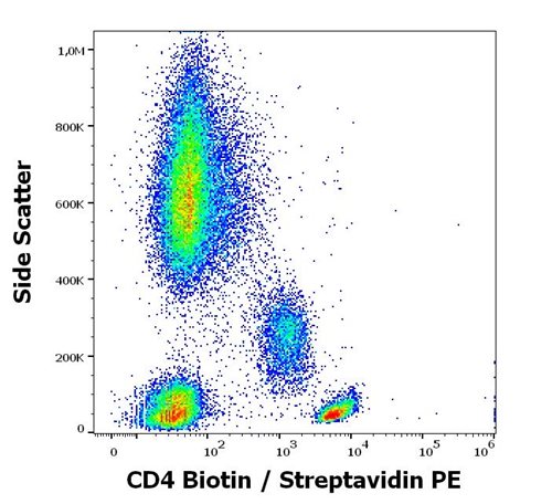 Streptavidin PE Conjugated